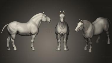 3D model Draft Horse 2 (STL)